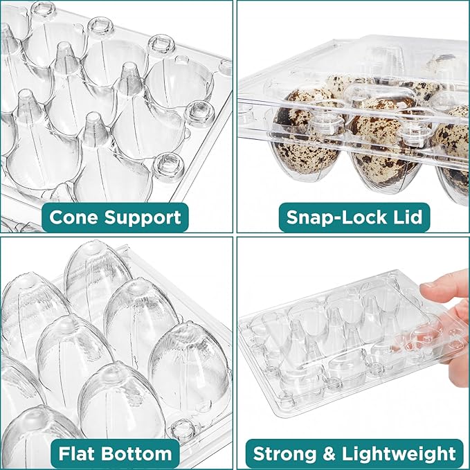 YOUEON 60 Pcs Clear Quail Egg Cartons, 12 Count Plastic Egg Trays, Small Egg Storage Holders with Lids, Stackable Bulk Egg Boxes for Quail, Pigeon, Pheasant, Display, Refrigerator Storage