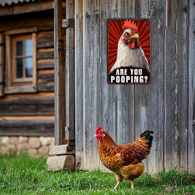Funny Chicken Signs Chicken Humor Are You Pooping Aluminium Sign Metal Chicken Signs Decor Home Ktichen Farm Are Wall 12x8 Inch Vintage Chicken Signs For Coop Metal Tin Signs Poster