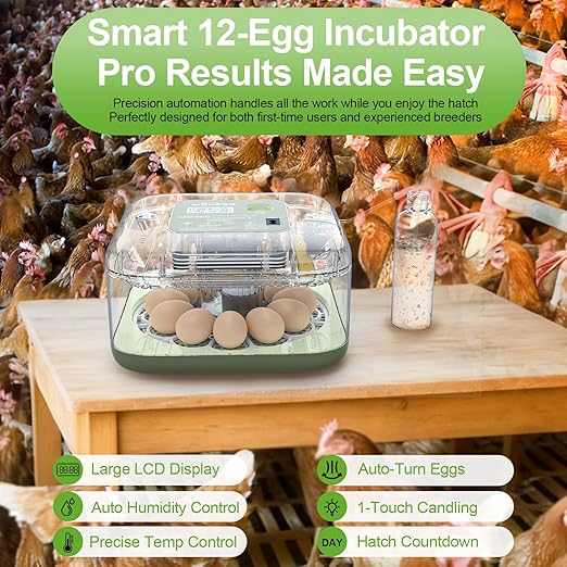 Incubators for Hatching Eggs, 12 Eggs Capacity, Egg Incubator with Automatic Egg Turning and Humidity Control for All Poultry - Chickens, Ducks, Quails, Turkeys, and More