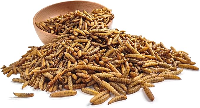 GRUBSFARM Dried Black Soldier Fly Larvae 10LB – Non-GMO Poultry Treat for Chickens, Molting & Laying Hens, Resealable Bag