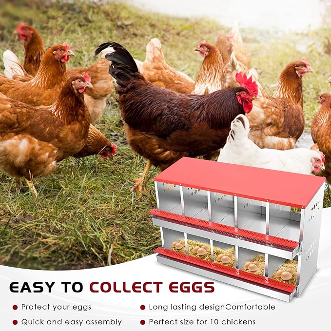 Nesting Box for Chickens, Roll Away Chicken Nesting Boxes with Easy Egg Collection Heavy Duty Metal Laying Box for Hens - 10 Compartment