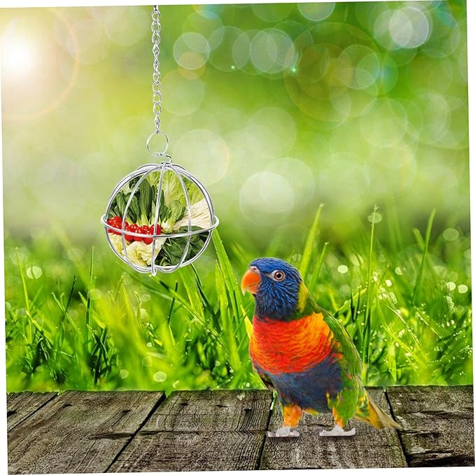GALPADA 6pcs Poultry Feeder Chicken Treat Hanging Fruit Vegetable Feeder for Chickens Hens Birds Parrots