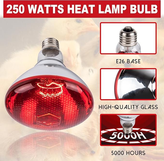 250W Chicken Heat Lamp Bulbs, PAR38 Heat Lamp for Chicks, Infrared Reflector Heat Bulb for Brooder Heater, Incandescent Heat Lamp for Pet, Bathroom, Food (2 Pack)