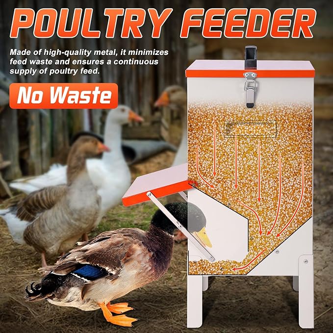 30lbs Automatic Chicken Feeder and Duck Feeder，Large Poultry Feeder for Chickens, Ducks, Geese, Pigeons, Dogs, Cats (Orange)