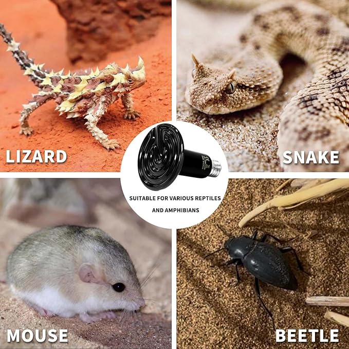 150W Reptile Heat Lamp(2 Packs)-Ceramic Heat Emitter for Reptiles Amphibian Pet Brooders Chicken Incubation, and Terrariums Turtle Lizard Bearded Dragon Snake Size E26