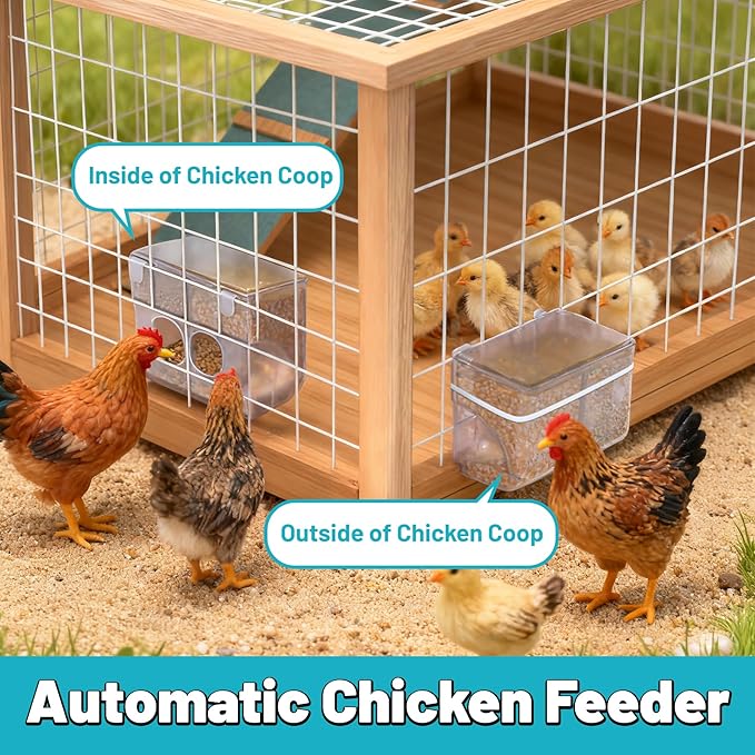 Automatic Chicken Feeder, Hanging Food Dispenser for Chicken Coop, No Waste Feeder with 2 Holes, Coop Accessories for Keep Food Dry & Keep Coop Tidy