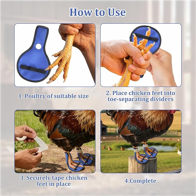 4 Pack Chicken Leg Splint with Toe Separator, Chicken Shoes for Injured Feet, Curled Toes Duck Chicken Leg Splint Poultry Leg Brace, for Chickens and Ducks and Other Poultry