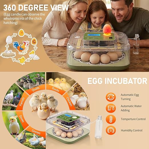 Winado Incubators for Hatching Eggs, 12 Egg Incubator with Automatic Egg Turning, Temperature & Humidity Control, Egg Candler, Automatic Water Filling and Day Counter for Eggs Hatching