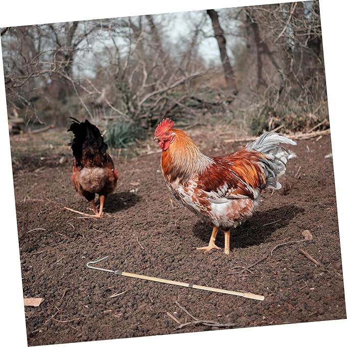 Toyvian Heavy Duty Chicken Catcher Hook Pole Duck Hook for Poultry Handling Chicken Accessories for Hens