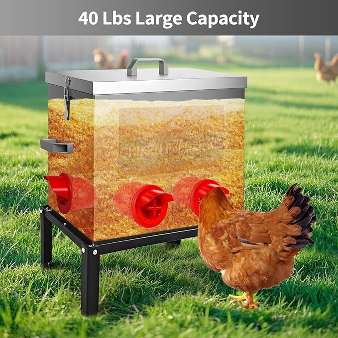RYFT Chicken Feeder Box 40 Lbs-6 Feeding Port, Galvanized Metal No - Waste Poultry Feeder with Adjustable Legs & Locking Lid