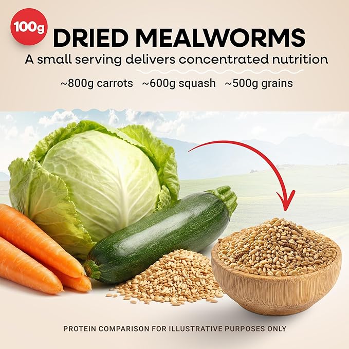 Dried Mealworms 100% Non-GMO 5 Lb - Mealworms for Birds, Chickens, Ducks - Perfect High-Protein Treats - Whole Large Meal Worms, Dried for Chickens and Bluebird Food Bulk