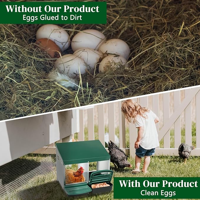 Chicken Nesting Boxes Plastic with Roll Away Egg,2 Compartment Roll Out Chicken Nest Box Egg Laying Box with Lid Cover,Rolling Egg Collection & Protection Chicken Coop for Up to 2 Hens,Green