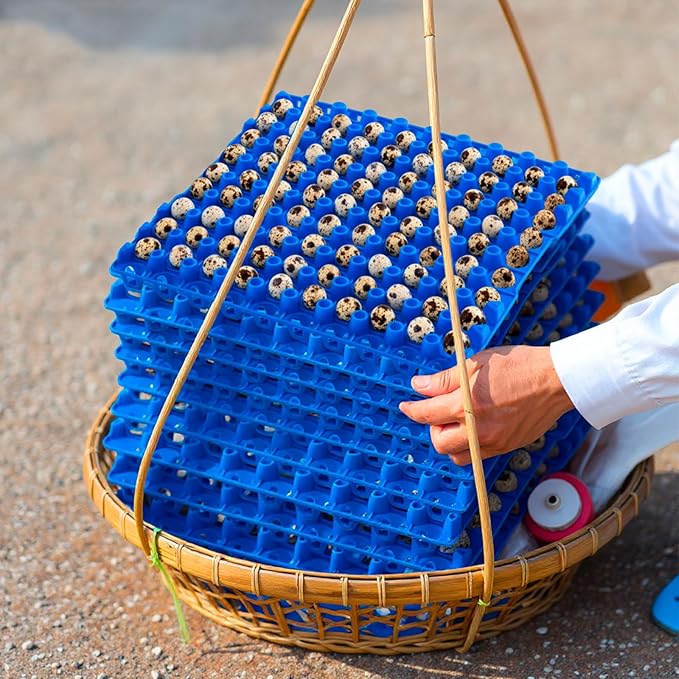10 Pcs 90 Egg Plastic Trays Quail Egg Flats Holder for Quail Pigeon Dove Bird Flat Carton (Blue)