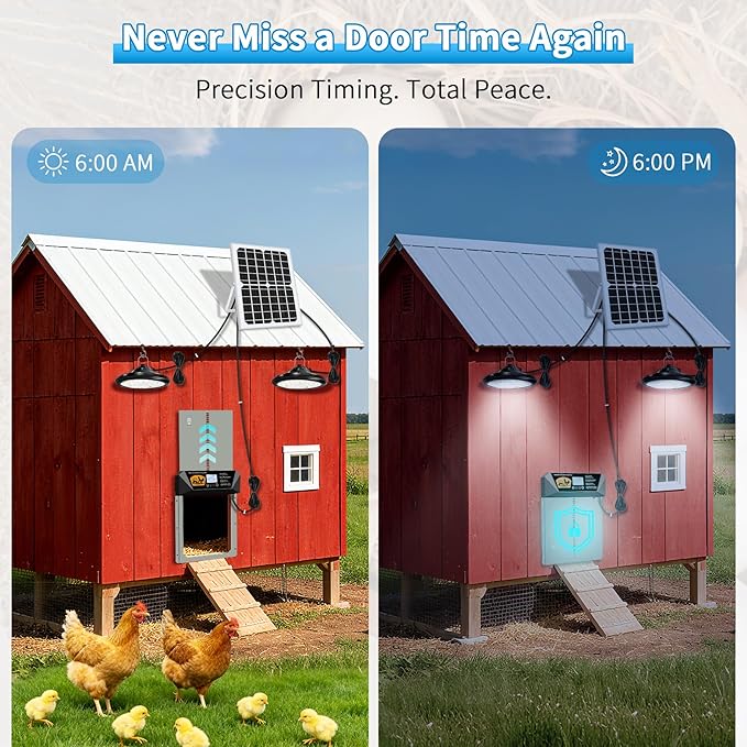 Extra Large Automatic Chicken Coop Door Solar Powered with 2 Timer Lights, 16'' x 12'' Aluminum Auto Chicken Coop Door with Timer, Remote, Anti-Pinch, Weatherproof for Chickens, Ducks
