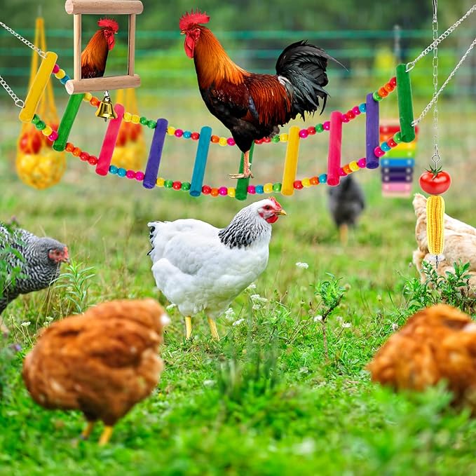 7 Pack Chicken Toys for Coop Accessories, Chicken Xylophone Toy, Chicken Mirror, Chicken Ladder Bridge, Coop Swing, Vegetable Hanging Chicken Feeder, Chewing Foraging Toys, Gifts for Hens