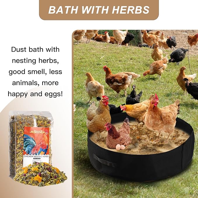 Chicken Dust Bath Tub Chicken Coop Cleaner Containe Essential Chicken Coop Accessory (2 Pack)