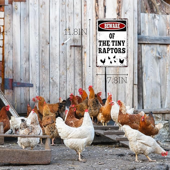 Beware of The Tiny Raptors Vintage Metal Sign, Chicken Art 7.8"11.8" Inches, Chicken Coop Farm Decor with Pre-Drilled Holes