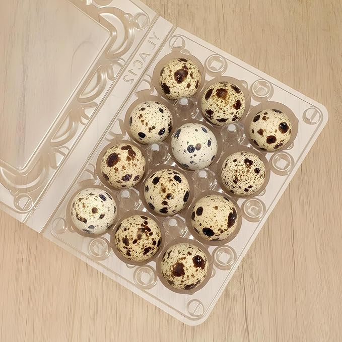 60 Pcs Quail Egg Cartons, Square Dozen Egg Boxes, Classical 3x4 Style Holds Up to Twelve 12 Count Small Quail Eggs Basket, Bulk Carton Quail Egg Tray Container for Refrigerator