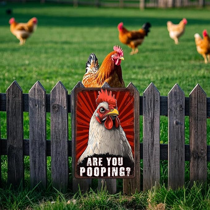 Funny Chicken Signs Chicken Humor Are You Pooping Aluminium Sign Metal Chicken Signs Decor Home Ktichen Farm Are Wall 12x16 Inch Vintage Chicken Signs For Coop Metal Tin Signs Poster
