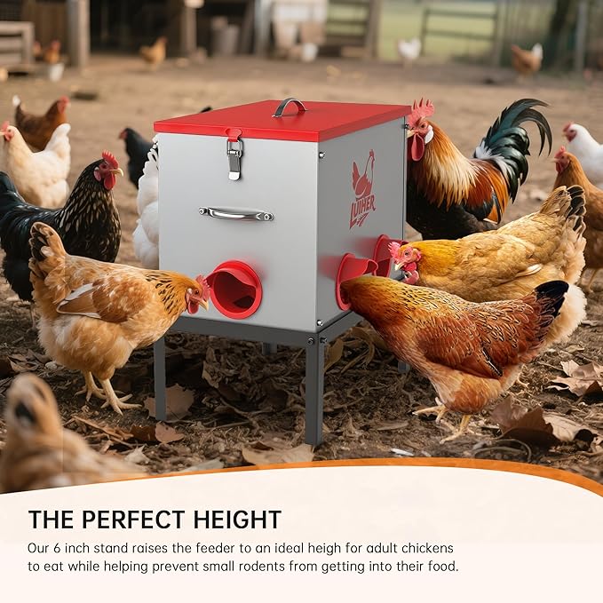 chicken food dispenser 25LB no waste chincken feeder 6 Ports Large Capacity Galvanized Metal Poultry Feeder with Legs and Lids - Reduces Refilling Frequency Chicken Feeding Equipment for Hen Coop