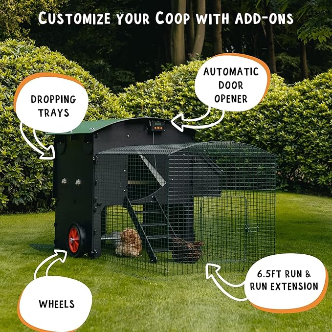 Plastic Chicken Coop 25yr Lifespan - Large Penthouse Chicken Coop for 8 Chickens Or 15 Bantams | 2 Rounded Perches for Chickens & Hens to Roost | Penthouse for Poultry with 2 Nesting Boxes & Ladder