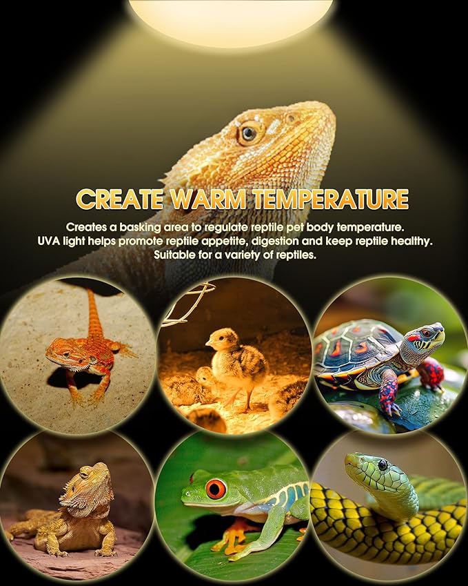Reptile Heat Lamp Bulbs -100W UVA Natural Daylight Heating Lamp Basking Bulb for Bearded Dragon, Basking Spot Floodlight Light for Reptiles, Lizard, Turtle, Snake Bathroom, Plants,Chickens Pets,2 Pack