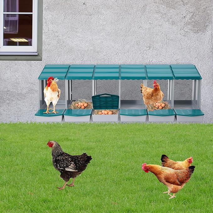Chicken Nesting Boxes 6 Compartment PP Nesting Box with Inclined Nesting Boxes & Vented Holes Wall Mount Chicken Laying Boxes for Chicken Coop (Green)