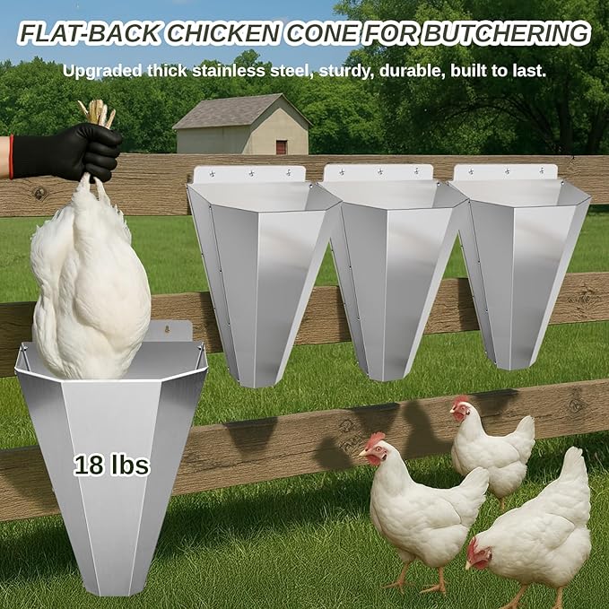 Large Chicken Kill Cones for Butchering, Upgraded Thickened Stainless Steel Flat-Back Kill Cone for Poultry Processing, Fits Chickens up to 18 lbs, Ideal for Farm or Backyard Use (2 Pack, Silver)