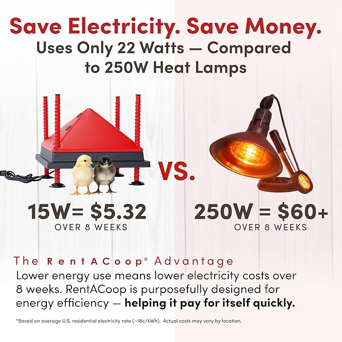 RentACoop 12x12” Adjustable Heating Plate with Bonus Foldable Anti-Roost Cone for up to 20 Chicks | Chick Brooder Heat Plate – Energy-Efficient 22-Watt Chick Heater - Safer Than Heat Lamps