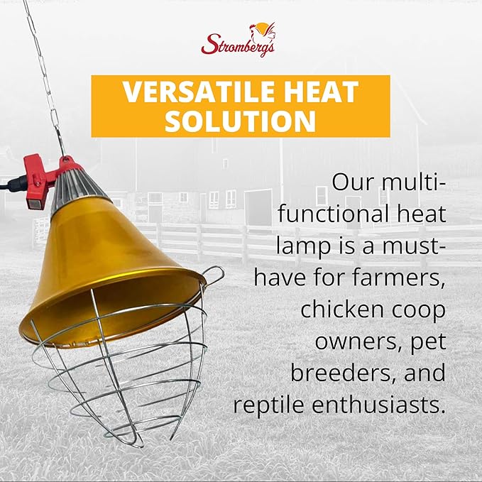Stromberg's Heat Lamp with Safety Switch, Stainless Steel, Chicken Coop, Reptiles, Piglets, Infrared Light, Baby Lambs, Baby Goats, Newborn Livestock, Puppies, 250W, 6.5 Foot Cord