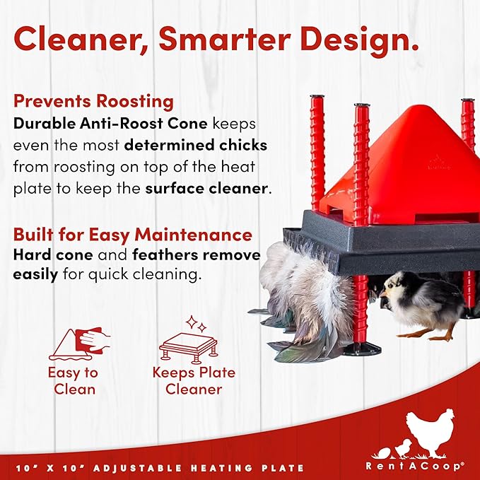 RentACoop 10x10” Heating Plate with Hard Anti-Roost Cone Set and Removable Comfort Feathers – Chick Brooder Heat Plate Warms Up to 15 Chicks – Energy Efficient - Safer Than Heat Lamps