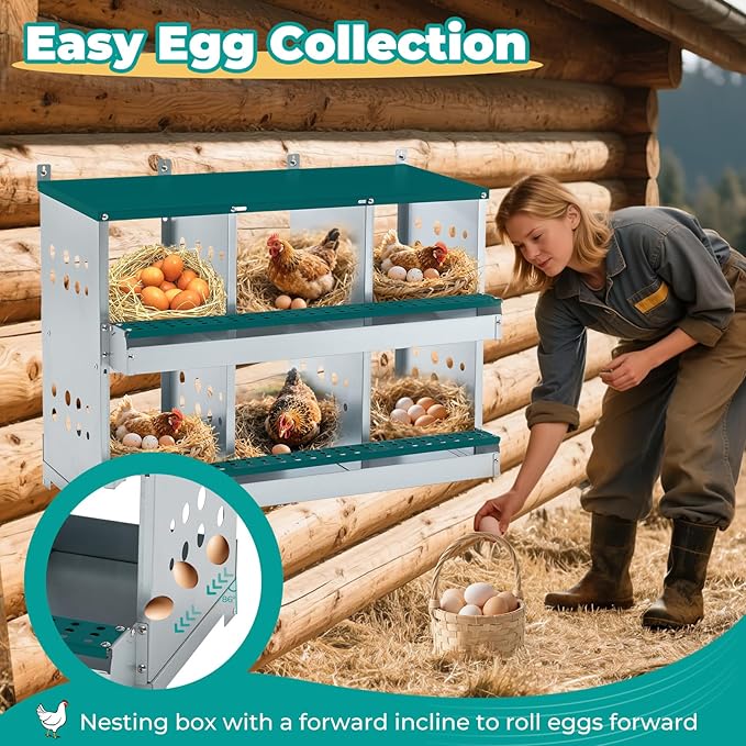 Chicken Nesting Box 6 Compartments, Metal Chicken Laying Boxes Wall Mountable, Easy Egg Collection Roll Away Nesting Boxes Chicken, Chicken Coop Nesting Boxes for Hens Laying Eggs