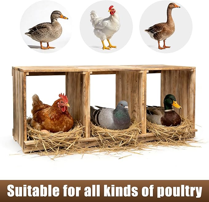 Nesting Boxes for Chickens, Oltara 3 Compartment Carbonized Wooden Egg Laying Nest Box for Chickens, Hens, Ducks