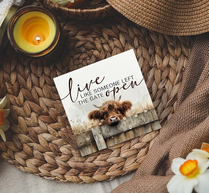Highland Cow Farmhouse Wooden Box Sign - Farmhouse Western Animal Office Kitchen Bathroom Decor,Farm Live Like Someone Left The Gate Open,Highland Cow Gifts For Women