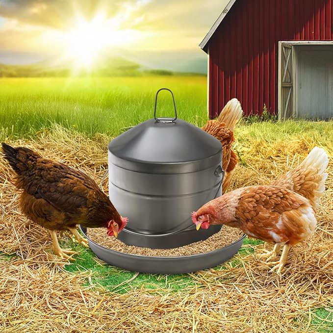 Plexon 17.6 Lb Poultry Feeder Stainless Steel Hanging Chicken Feeder no Waste Food-Grade with 10 Gallon Galvanized Storage Bucket with Locking Lid for Bird Seed Chicken Feed, Bundle
