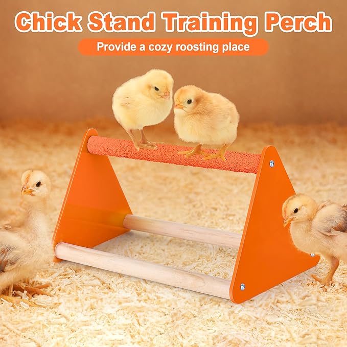 Plastic Baby Chicken Feeder and Waterer Set (Orange)