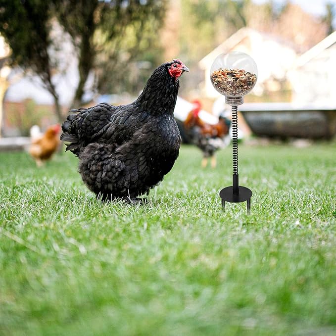 Oooct 4 Pack Chicken Pecking Toys with Swing Feeder, Coop Slow Feeder Toy for Chickens, Chicks, Ducks, Hens, Parrots & Poultry Enrichment