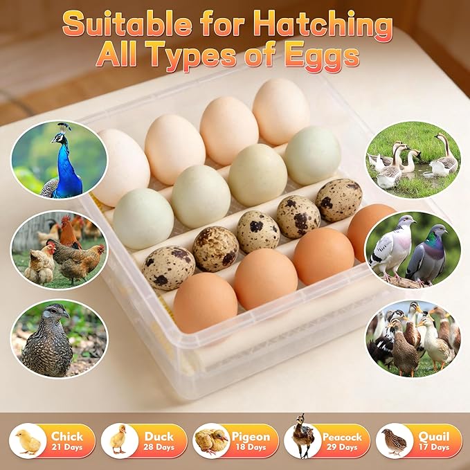 Incubators for Hatching Egg 16Eggs Digital Temperature Control Egg Candler and Alarm, External Water Port, Auto Egg Turning & 360°Air Circulation System for Chicken Coop, Duck, Goose & Quail Eggs
