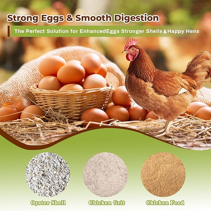 2-Pack Metal Chicken Grit Feeder & Oyster Shell Feeder with Lid-Heavy Duty Hanging Automatic Gravity Poultry Feeder-Chicken Coop Accessories-No Waste Feeders for Hens, Ducks, Quail