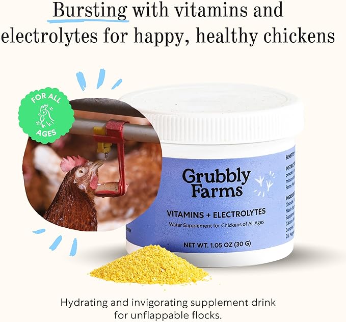 Grubbly Farms Supplements Bundle - Layer Calcium, Probiotics+Prebiotics, Vitamins+Electrolytes & Omega Mix - Complete Nutrition Support, Strong Eggshells & Digestive Wellness for Laying Hens - 4 Pack