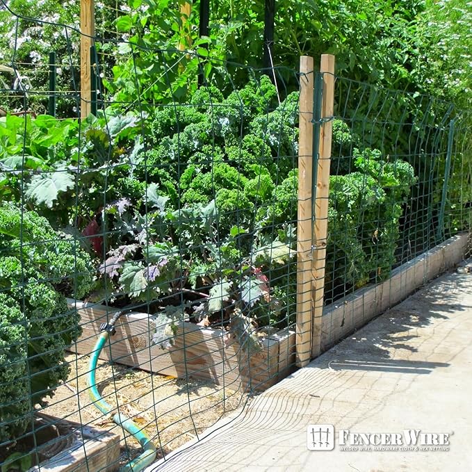 Fencer Wire 16 Gauge Green Vinyl Coated Rabbit Guard Fence, Poultry Fencing Wire Roll for Garden Yard Vegetable Plant, Protecting Against Rabbits, and Other Small Animals Damage (40 in. x 50 ft.)