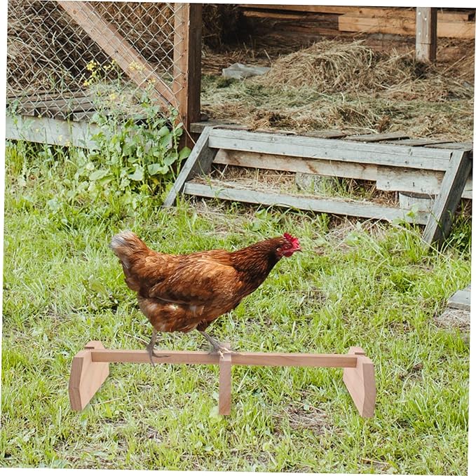 BESPORTBLE Chicken Wood Perch Household Parrot Perch Chick Roosting Bars Pet Supplies Sturdy Hen Stand
