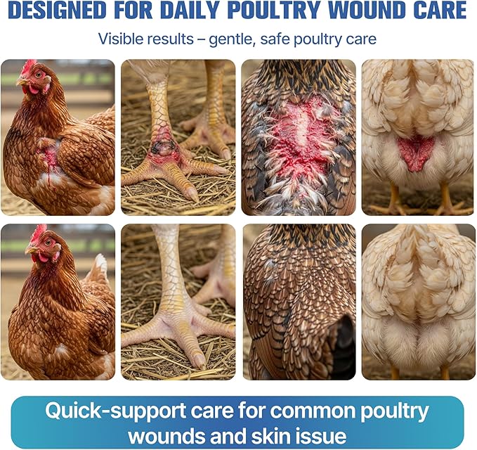 Poultry Care Spray – Chicken Wound Spray for Pecking Sores, Foot Injuries, Bumblefoot, Vent Prolapse, Minor Cuts & Irritations, Safe Wound Care for Chickens, Ducks, Turkeys & Geese, Easy to Use, 10 oz