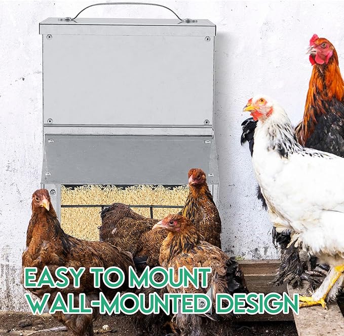 Uiifan 2 Pcs 11.5-50 Lbs Galvanized Chicken Feeder Weatherproof Poultry Food Dispenser with Lid Chicken Duck Food Dispenser Rat Proof Poultry Feeder for Cock Hen Duck(50 lb)