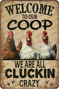Chicken Metal Tin Sign Welcome To Our Coop We Are All Cluckin Crazy Vintage Tin Sign For Chicken Wall Farmhouse Farm Home Coop Decor 12x8 Inch