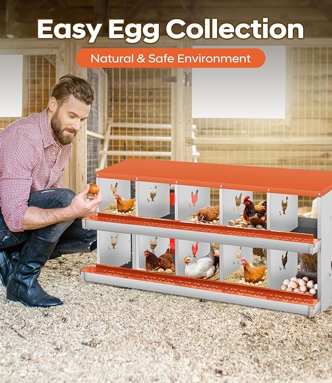 10 Compartment Chicken Nesting Box, Nesting Boxes for Chickens, Chicken Laying Boxes to Protect Eggs, Easy to Clean