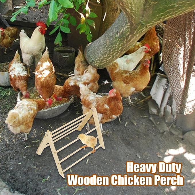 Chicken Perches Roosting Bar – Wooden Coop Perch Stand, Space Saving Portable Structure, Smooth Rounded Edges Design, Stable Support Build, Natural Roosting Comfort | Chicks Hens Outdoor Backyard Poul