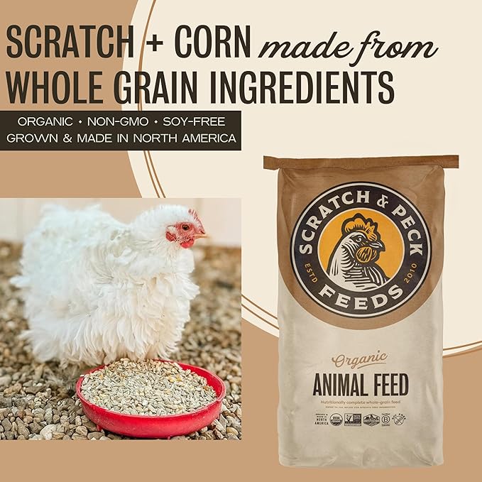 Scratch and Peck Feeds Whole Grain Scratch + Corn Chicken and Duck Supplemental Grain - Soy-Free - 9% Protein, Certified Organic and Non-GMO Project Verified Chicken Food - 50 lbs Bag