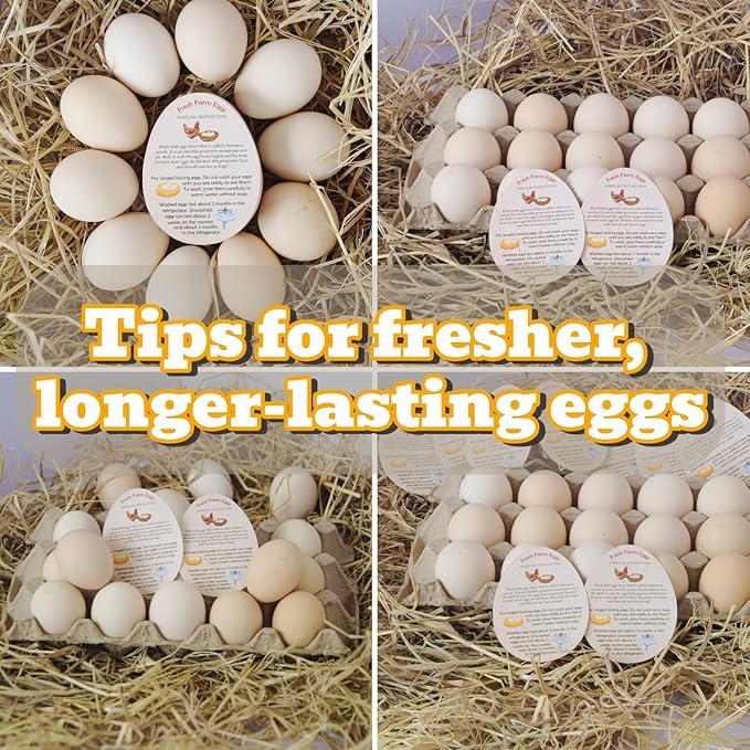 250 Pcs Premium Fresh Farm Egg Handling Instruction Cards - 2.7 X 3.5 Inches - Egg Stamps for Eggs Care Egg Cartons Cheap Bulk - Egg Stamps for Fresh Eggs for Egg Cartons Reusable - Eggs Shape Style