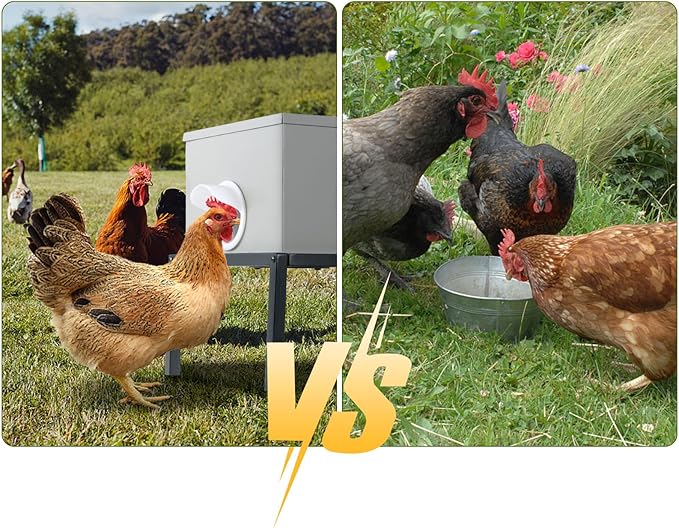 SARUFO Chicken Feeder 25lb 6-Port All-Weather Metal Poultry Feeder with Plugs, Wind and Rainproof, Suitable for Stove with Stand Inside or Outside